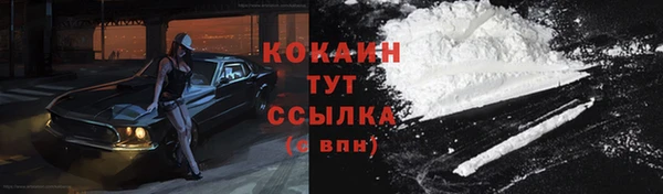 стафф Киренск