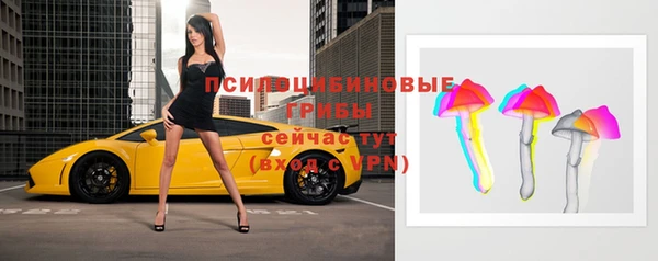 стафф Киренск