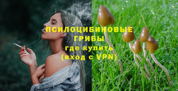 ALPHA PVP Киреевск
