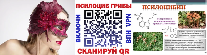 Псилоцибиновые грибы MAGIC MUSHROOMS  Купить где  Рыльск 